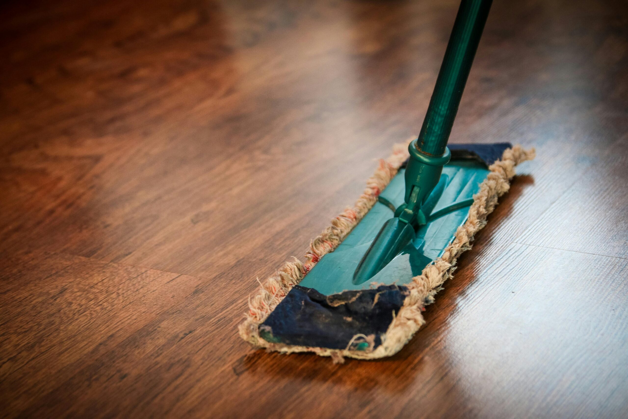 Basic Clean